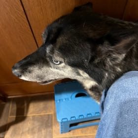 Kira