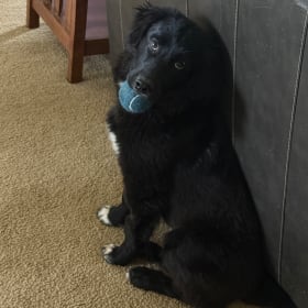 Charlie
