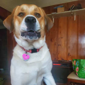 Susie