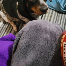 Coco