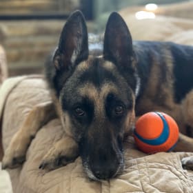 Odin