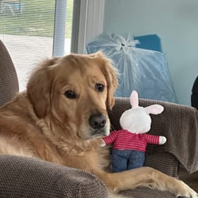 Benny