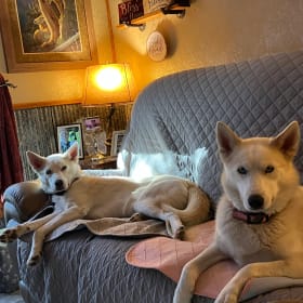Rowdie and Ruby
