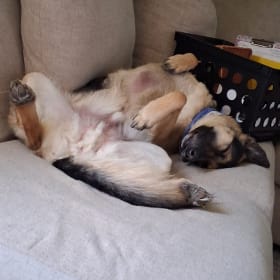Keiba