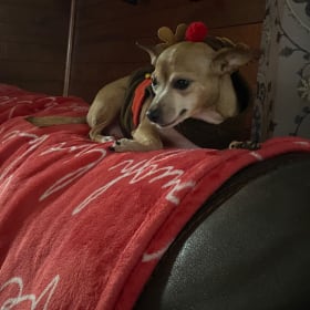 Fawnda