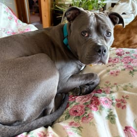 Sadie Blu