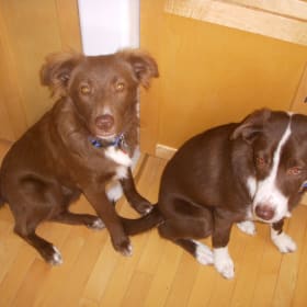 Sammy and Sula