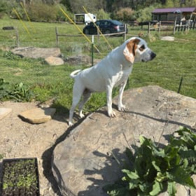 Della