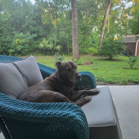 Sara