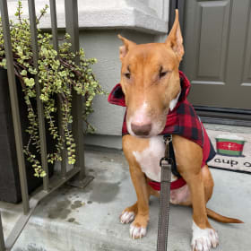 Tyson