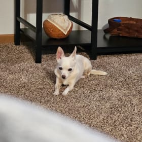 Maggie