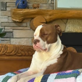Trudy