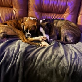 Nash and Nala