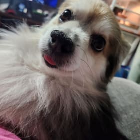 Kenai
