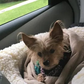 Milo