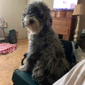 Eugene