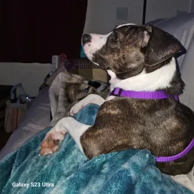 Fiona aka Wigglebutt