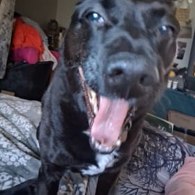 Khaos