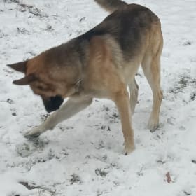 Max