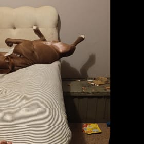 Coco