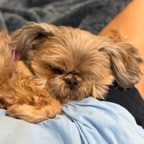 Millie