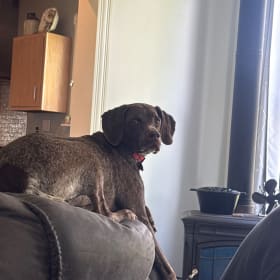 Pepper