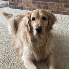 Bubba