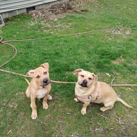 Charlie and Peanut