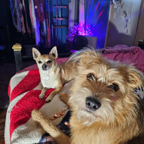 Teddy and Tadpole