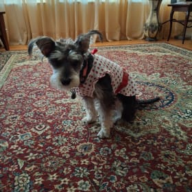 Molly