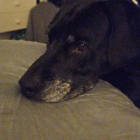 Jasper
