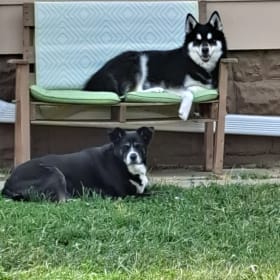 Osa and Koda