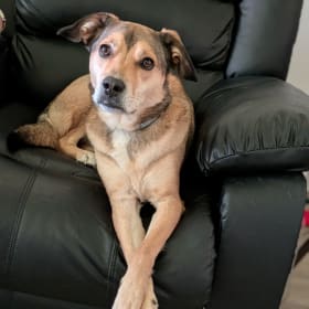 Gunnar