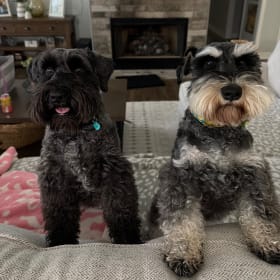 Sue and Jett