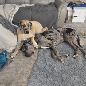 Atlas and Avery