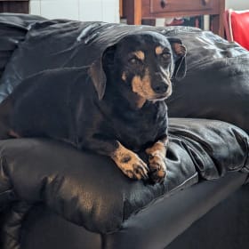 Sister Sadie