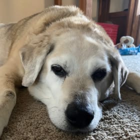 Duncan