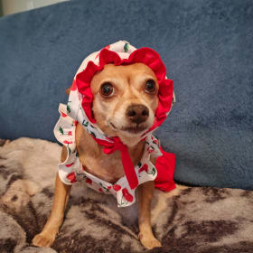 Chica Boo