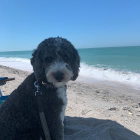 Max