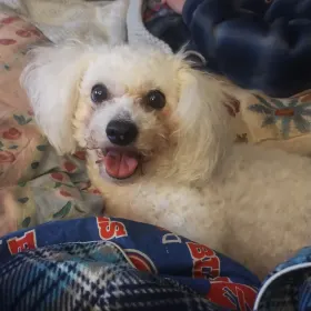 Baxter
