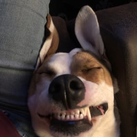 Butters