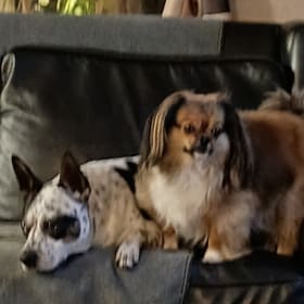 Mia and Rocko