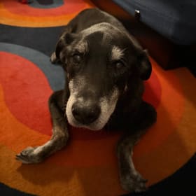 Jett