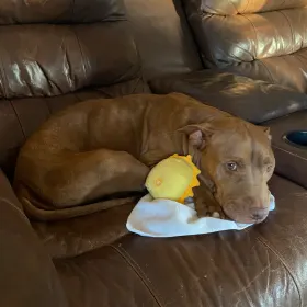 Tiana aka T-Bird