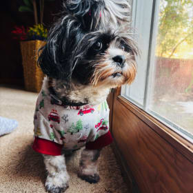 Bella