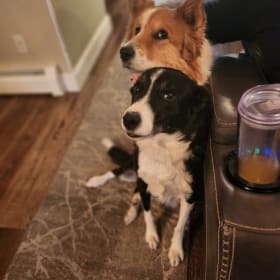 Lulu and Loki