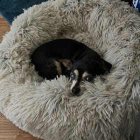Happy
