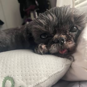 Zoey