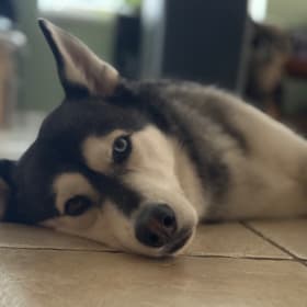 Micah