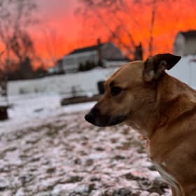 Maggie